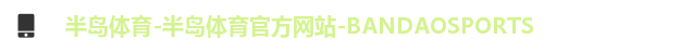 半岛体育